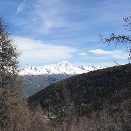 Plagne Lauze - Maeva - Studio 4 Personnes - Selection 664 Apartment *